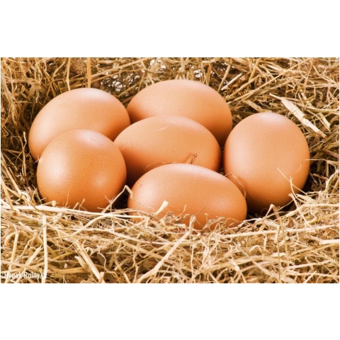 Jaja ściółkowe L (pakowane po 10szt) 